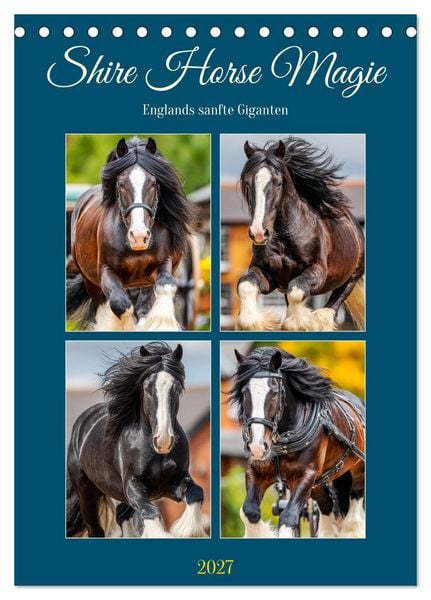 Produktbild: Shire Horse Magie. Englands sanfte Giganten (Tischkalender 2027 DIN A5 hoch), CALVENDO Monatskalender