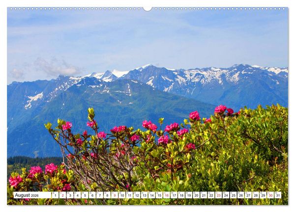 Produktbild: Pinzgauer Spaziergang (Wandkalender 2026 DIN A2 quer), CALVENDO Monatskalender