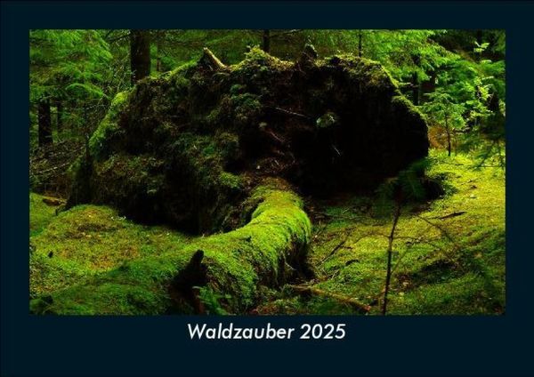 Waldzauber 2025 Fotokalender DIN A5