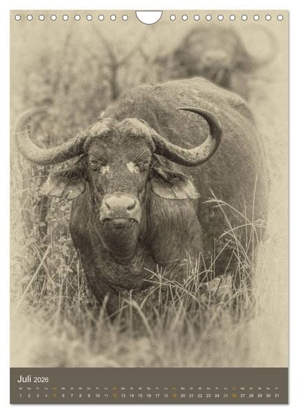 Produktbild: Afrikas Tierwelt - Sepia-Art (Wandkalender 2026 DIN A4 hoch), CALVENDO Monatskalender