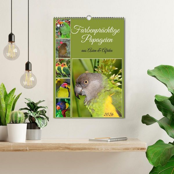 Produktbild: Farbenpr&auml;chtige Papageien aus Asien und Afrika (Wandkalender 2026 DIN A3 hoch), CALVENDO Monatskalender