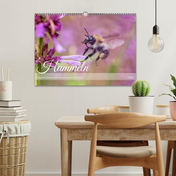 Produktbild: Hummeln - Flugaufnahmen eines faszinierenden Insekts (Wandkalender 2026 DIN A3 quer), CALVENDO Monatskalender