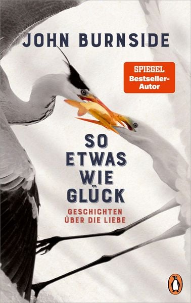 Produktbild: So etwas wie Gl&uuml;ck