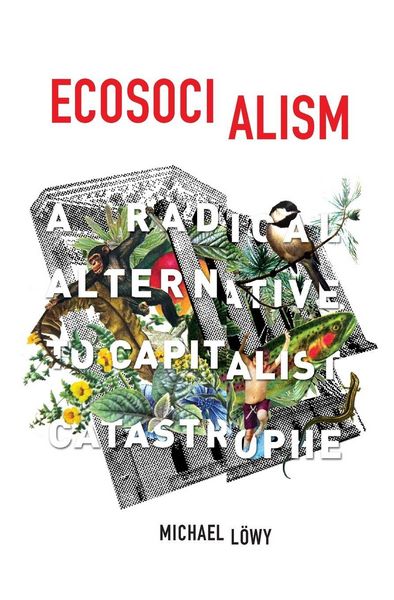 Produktbild: Ecosocialism