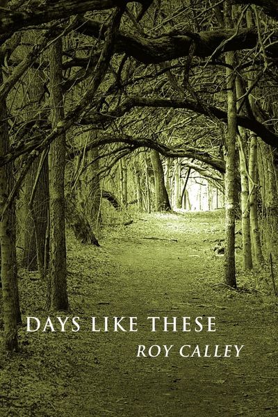 Produktbild: Days Like These