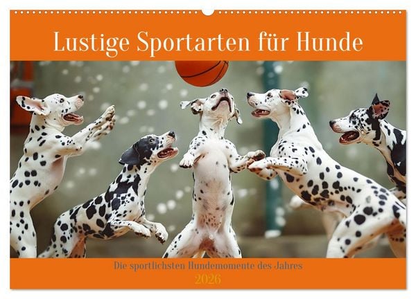 Produktbild: Lustige Sportarten f&uuml;r Hunde (Wandkalender 2026 DIN A2 quer), CALVENDO Monatskalender