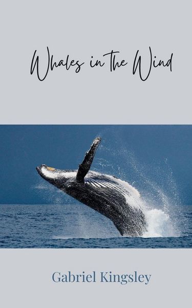 Produktbild: Whales in the Wind