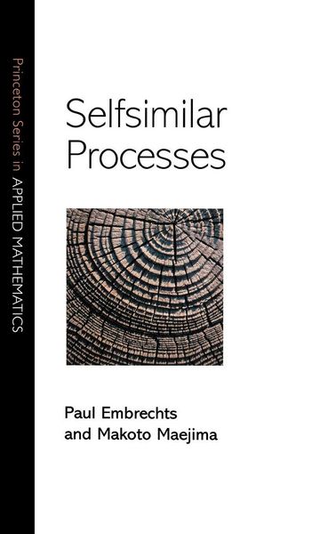 Produktbild: Selfsimilar Processes