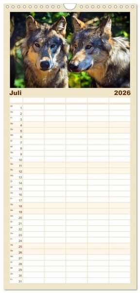 Produktbild: Familienplaner 2026 - Begegnung mit dem Wolf mit 5 Spalten (Wandkalender, 21 x 45 cm) CALVENDO