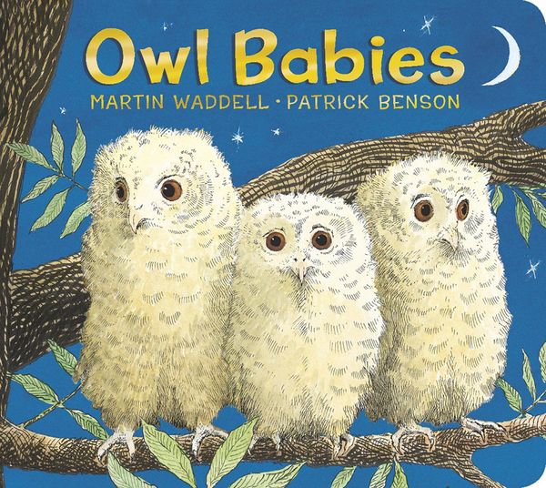 Produktbild: Owl Babies Padded Board Book
