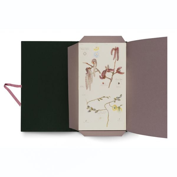 Produktbild: Hilma af Klint. Flora