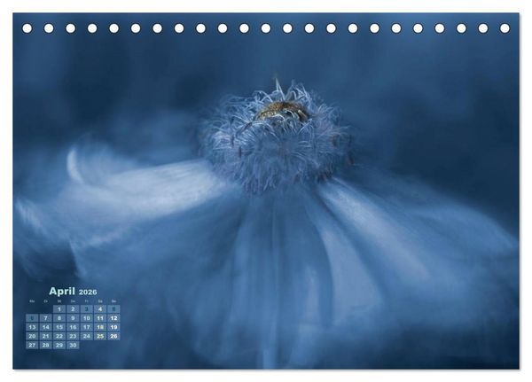 Produktbild: Zauberhafte Bl&uuml;ten (Tischkalender 2026 DIN A5 quer), CALVENDO Monatskalender