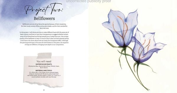 Produktbild: Aquarell trifft Bl&uuml;tenpoesie