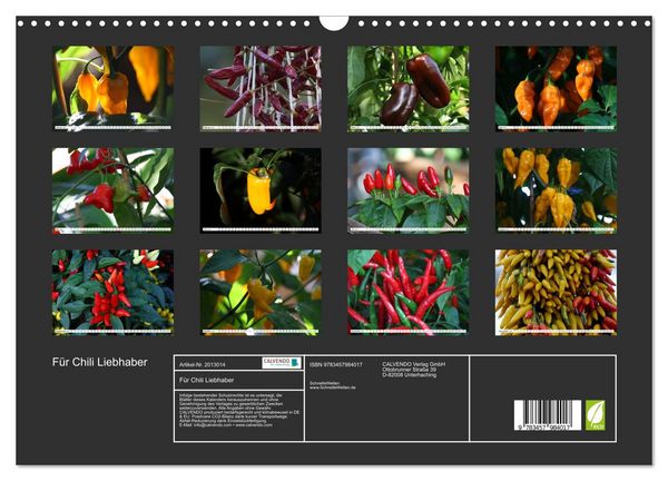 Produktbild: F&uuml;r Chili Liebhaber (Wandkalender 2026 DIN A3 quer), CALVENDO Monatskalender