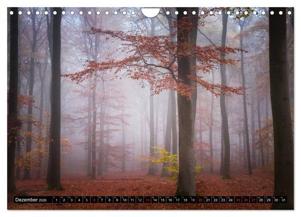 Produktbild: Zauberhafter Sachsenwald (Wandkalender 2026 DIN A4 quer), CALVENDO Monatskalender