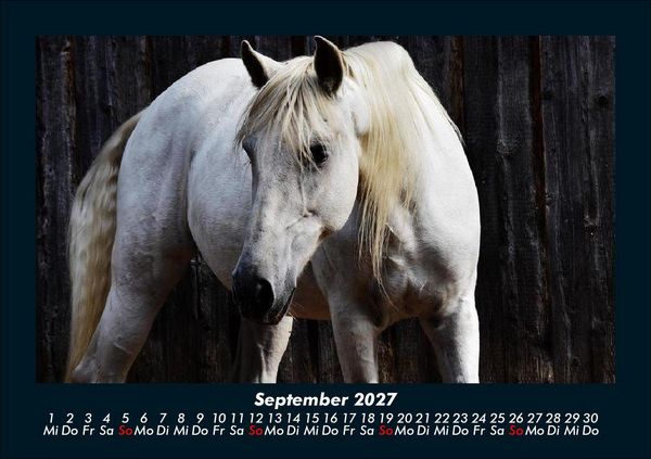 Produktbild: Die Welt der Pferde 2027 Fotokalender DIN A5