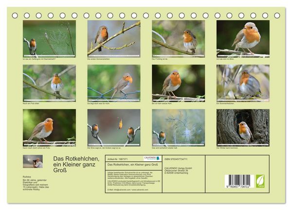 Produktbild: Das Rotkehlchen, ein Kleiner ganz Gro&szlig; (Tischkalender 2026 DIN A5 quer), CALVENDO Monatskalender