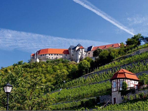 Produktbild: CALVENDO Puzzle Freyburg, Neuenburg | 1000 Teile Lege-Gr&ouml;&szlig;e 64x48cm Foto-Puzzle f&uuml;r gl&uuml;ckliche Stunden