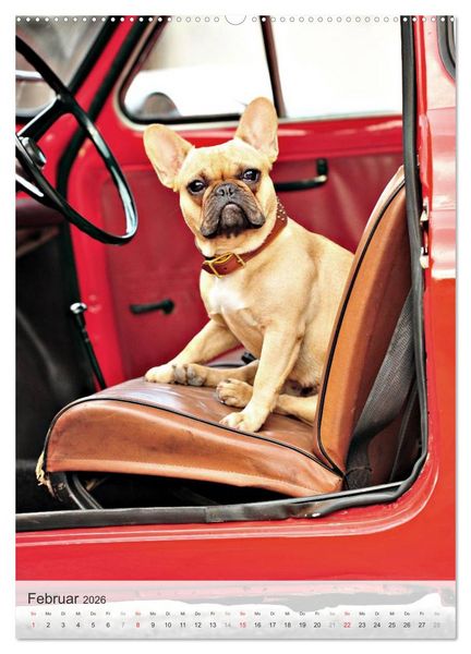 Produktbild: Hundepers&ouml;nlichkeiten (Wandkalender 2026 DIN A2 hoch), CALVENDO Monatskalender