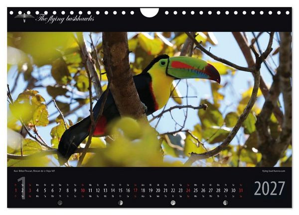 Produktbild: Costa Rica Blickwinkel 2027 (Wandkalender 2027 DIN A4 quer), CALVENDO Monatskalender