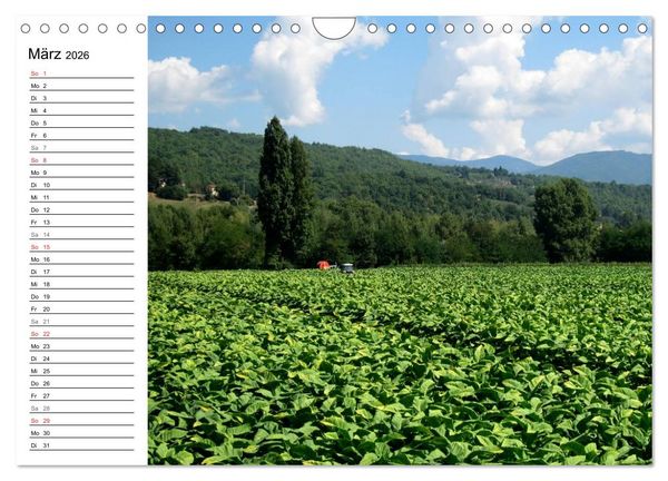 Produktbild: Camino di Assisi - Franziskusweg (Wandkalender 2026 DIN A4 quer), CALVENDO Monatskalender