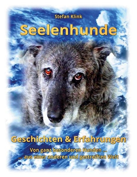 Produktbild: Seelenhunde