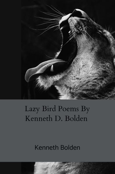 Produktbild: Lazy Bird Poems By Kenneth D. Bolden