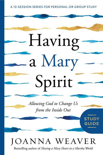 Produktbild: Having a Mary Spirit