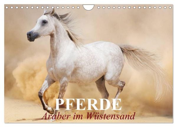 Produktbild: Pferde &bull; Araber im W&uuml;stensand (Wandkalender 2026 DIN A4 quer), CALVENDO Monatskalender