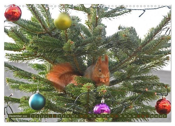 Produktbild: Neuer Spa&szlig; mit Eichh&ouml;rnchen-Kindern (Wandkalender 2026 DIN A3 quer), CALVENDO Monatskalender