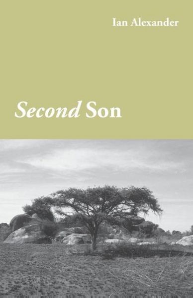 Produktbild: Second Son