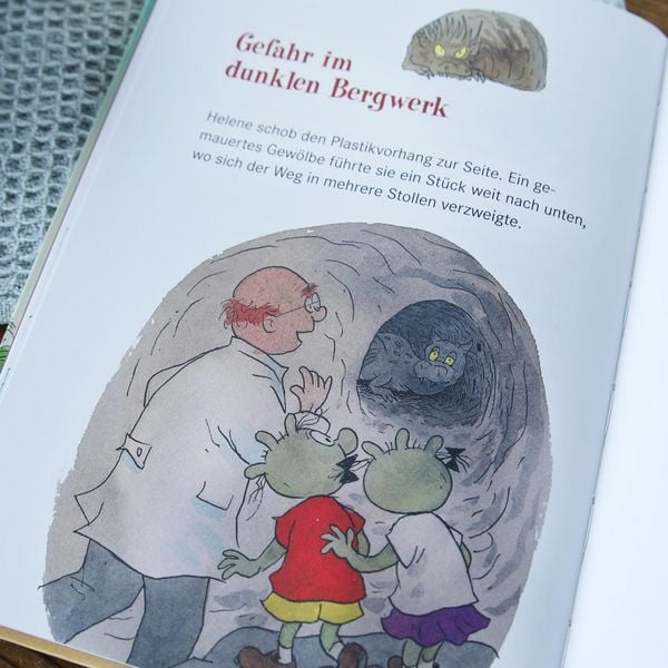 Produktbild: Die Olchis im Land der Drachen