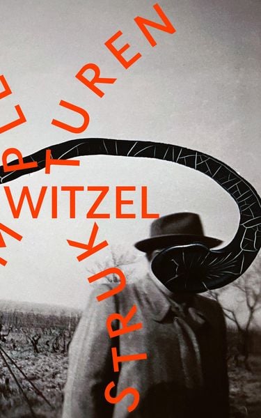Komplexe Strukturen