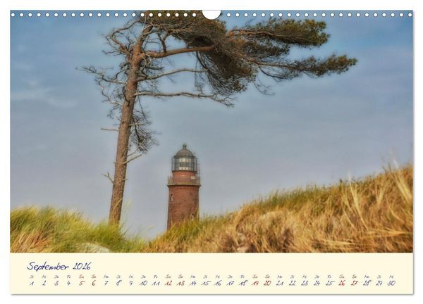 Produktbild: OSTSEEGL&Uuml;CK - Gl&uuml;cksmomente auf dem Dar&szlig; (Wandkalender 2026 DIN A3 quer), CALVENDO Monatskalender