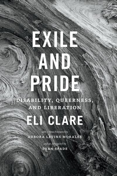 Produktbild: Exile and Pride
