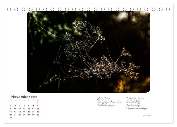 Produktbild: Max Dauthendey - Mit dem Wald durchs Jahr (Tischkalender 2026 DIN A5 quer), CALVENDO Monatskalender