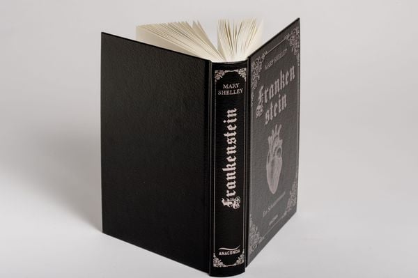Mary Shelley, Frankenstein. Ein Schauerroman