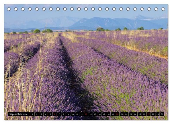 Produktbild: Lavendel (Tischkalender 2026 DIN A5 quer), CALVENDO Monatskalender