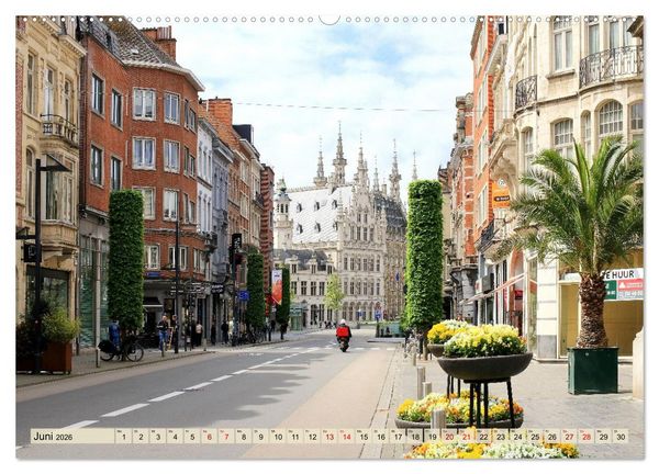 Produktbild: Bezauberndes L&ouml;wen in Belgien (Wandkalender 2026 DIN A2 quer), CALVENDO Monatskalender