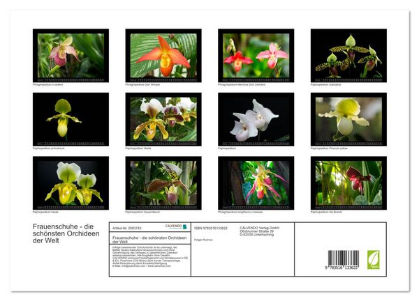 Produktbild: Frauenschuhe - die sch&ouml;nsten Orchideen der Welt (Wandkalender 2026 DIN A3 quer), CALVENDO Monatskalender