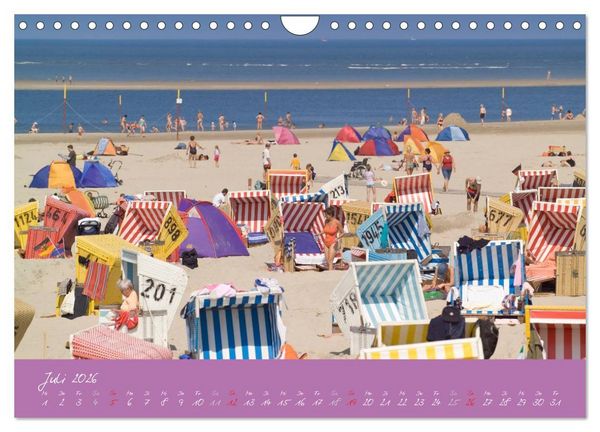 Produktbild: Strandk&ouml;rbe &ndash; bunte Vielfalt an der Nordsee (Wandkalender 2026 DIN A4 quer), CALVENDO Monatskalender