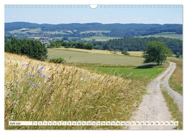 Produktbild: Viele Wege - ein Ziel Wandern im Odenwald (Wandkalender 2026 DIN A3 quer), CALVENDO Monatskalender