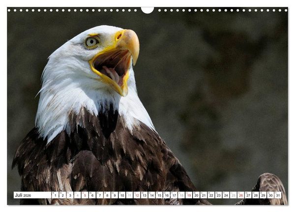 Produktbild: Alaska - Lockruf der Wildnis (Wandkalender 2026 DIN A3 quer), CALVENDO Monatskalender