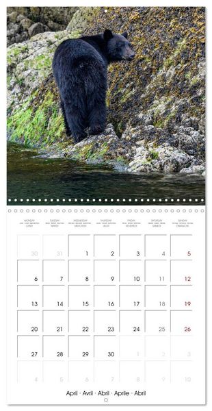 Produktbild: Wildlife in Alaska (Wall Calendar 2026 12 &times; 12 Inch) CALVENDO 12 Month Wall Calendar