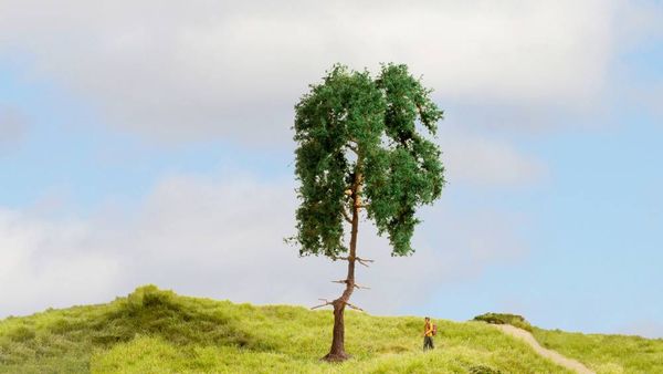 Produktbild: NOCH 20140 Baum Kiefer 150mm 1St.