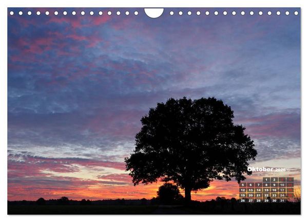 Produktbild: Die Dingdener Heide im Wandel der Jahreszeiten (Wandkalender 2026 DIN A4 quer), CALVENDO Monatskalender