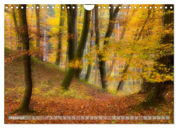 Produktbild: Atelier Wald - gemalt mit Licht (Wandkalender 2026 DIN A4 quer), CALVENDO Monatskalender