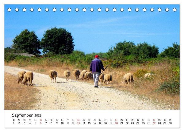 Produktbild: Jakobsweg - Camino Primitivo (Tischkalender 2026 DIN A5 quer), CALVENDO Monatskalender