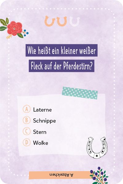 Kartenspiel: Das pferdestarke Quiz von den beliebten Social-Media-Stars Lia und Lea - # ponylife
