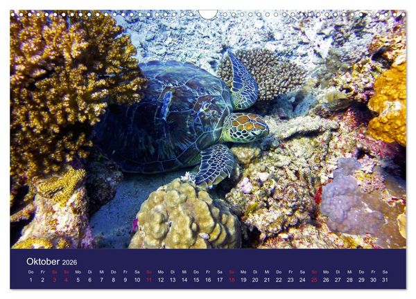Produktbild: Wunderwelt Korallenriffe (Wandkalender 2026 DIN A3 quer), CALVENDO Monatskalender